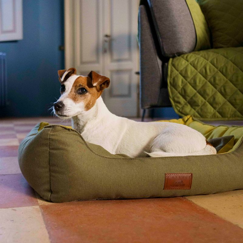 Accessori per animali